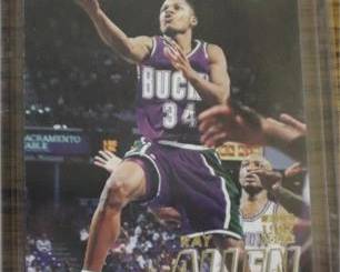 Lot 055   0 Bid(s)
Ray Allen Rookie Card