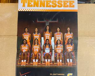 2013 LADY VOLS Small Poster (11" x 17")
