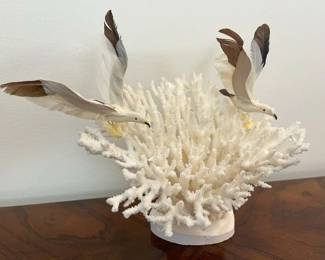 16 Coral Art Decormin