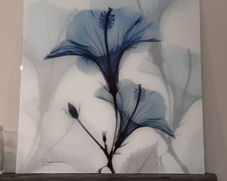 Free Floating Gas’s X-ray Floral
Art 