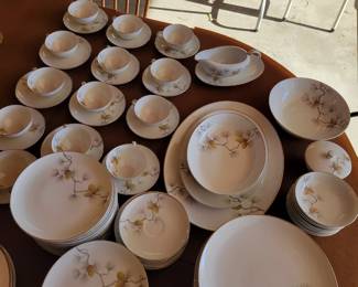 North Woods Contour China Set 