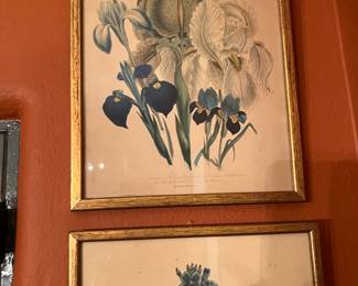great antique prints .. botanicals