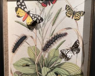 beautiful butterflie art