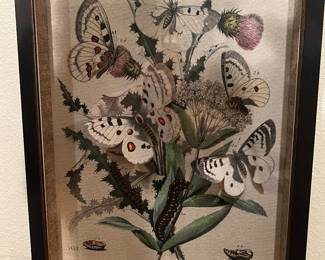 bu tterflies galore ..