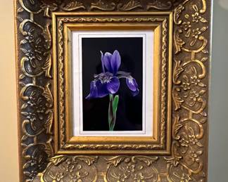 Framed floral photographs