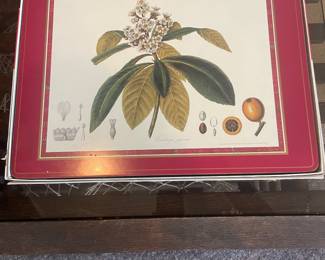 Pimpernel Japonica Floral Cork Placemat Set Royal Horticultural Society Set Of 4