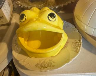 scrubby frog holder 
