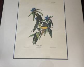 Audubon. 39 in x 32 in.
