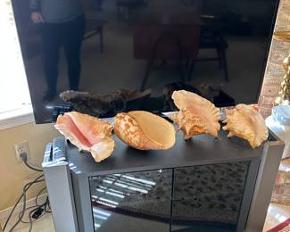 Samsung Flat Screen TV