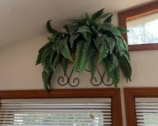 Fern arrangement