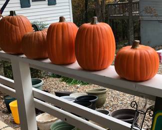 Pumpkins all in a row