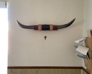 Vintage bull horns