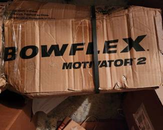 Bowflex Motivator 2 with lat stand