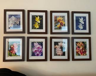 Beautiful framed orchid flowers