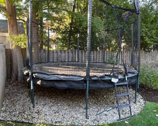 Allyoop Double Bounce 14' Trampoline With Ladder, Net & Basketball Hoop. Photo 1 of 2.