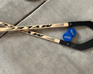 Shinny Hockey Sticks.