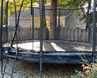 Allyoop Double Bounce 14' Trampoline With Ladder, Net & Basketball Hoop. Photo 2 of 2.