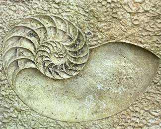 Old concrete nautilus fossil plaque