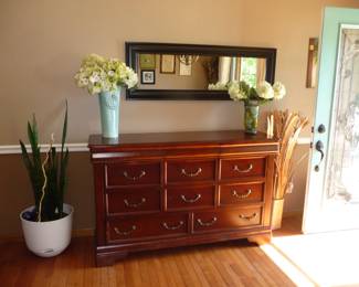 snake plant / decor / Chest / Mirror