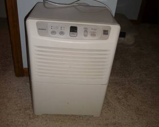 dehumidifier basement
