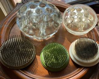 I read a book about flower frogs and found it absolutely ribbitting.