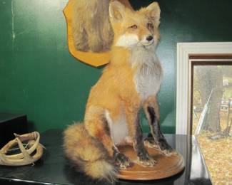 Fox Mount