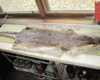 River Otter Pelt