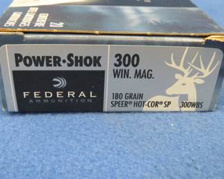 Lot 286. 20 Federal 300 WIN MAG rounds