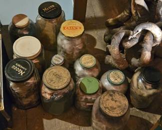Vintage jars full of fly fishing feathers