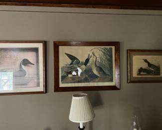 Antique Duck Prints