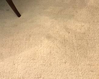 Ivory colored rug - 9 feet x 12 feet