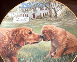 Dog collector plate