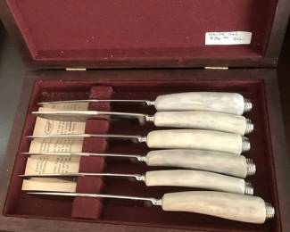 Set of steak knives in a case