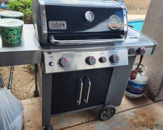 GENESIS II E-335 GAS GRILL