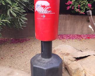 CENTURY WAVEMASTER TRAINING BAG FOR HOME GYM