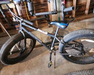 Mongoose Beast Bike