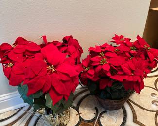 Beautiful Poinsettias and Light Up Wreaths: Just in Time for the Holidays