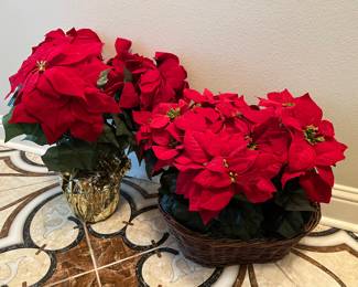 Beautiful Poinsettias and Light Up Wreaths: Just in Time for the Holidays