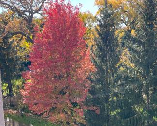 Great view of fall colors