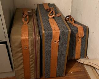 Vintage Hartmann Luggage