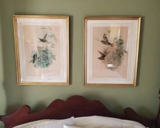 Pair Hummingbird Prints