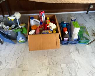 Cleaning supplies in kitchen