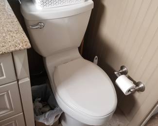 Updated one-piece commode