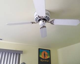 Ceiling fans