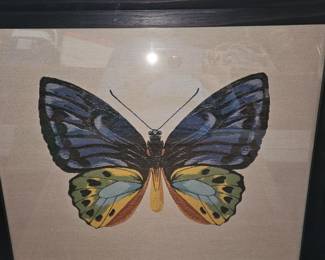Hand embroidered framed butterfly!
