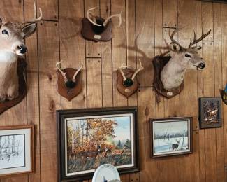 Deer mounts. Wildlife art pieces 