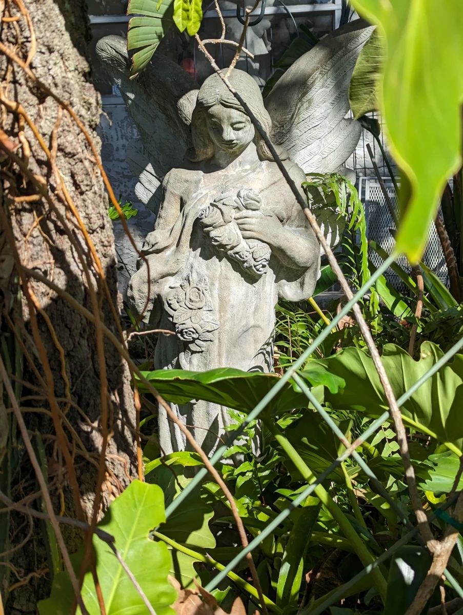 Estate Sale in Saint Petersburg, FL starts on 11/3/2023