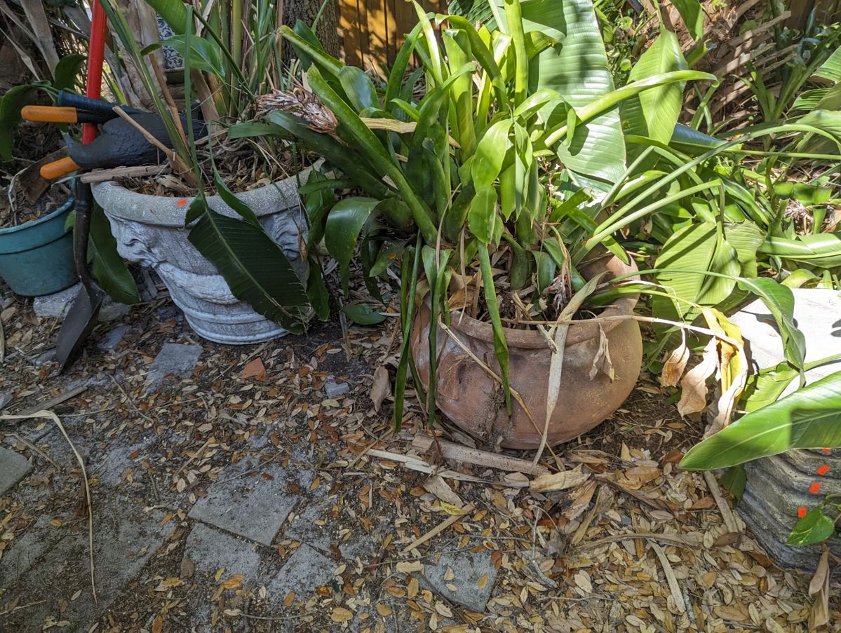 Estate Sale in Saint Petersburg, FL starts on 11/3/2023