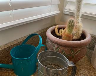 Cactus, watering can
