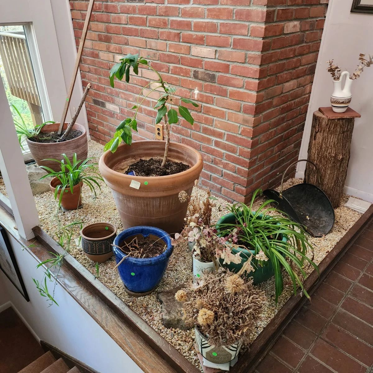 Tuxedo Estate Sale by Appointment Only starts on 10/30/2023